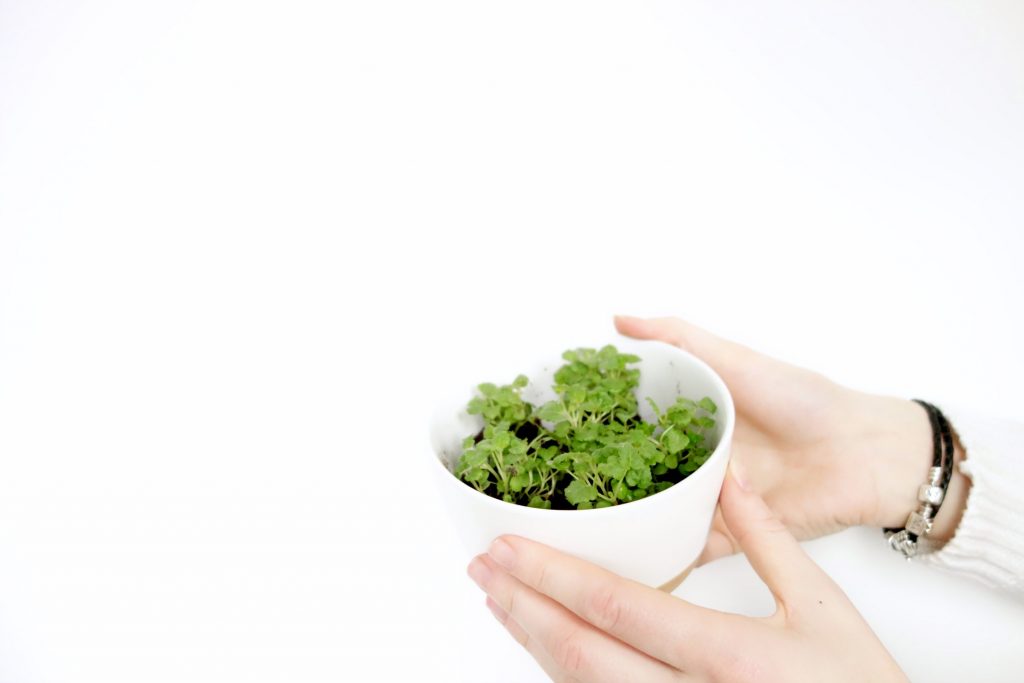 ontdekkingen in de foodwereld